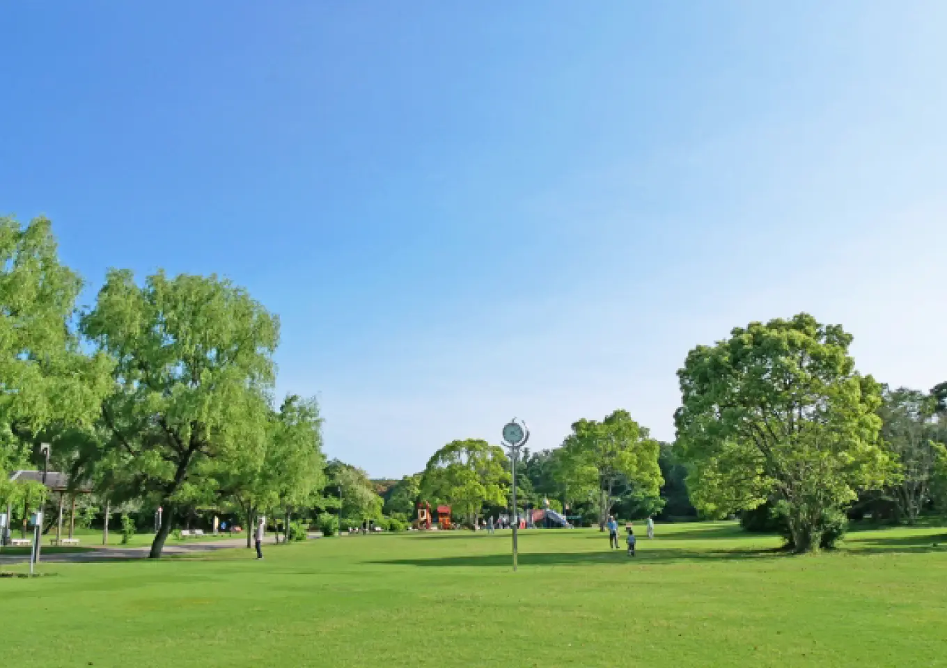 緑豊かな公園と広がる青空