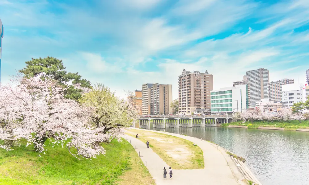 桜並木と河川敷の風景