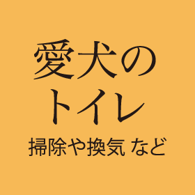 愛犬のトイレ 掃除や換気など