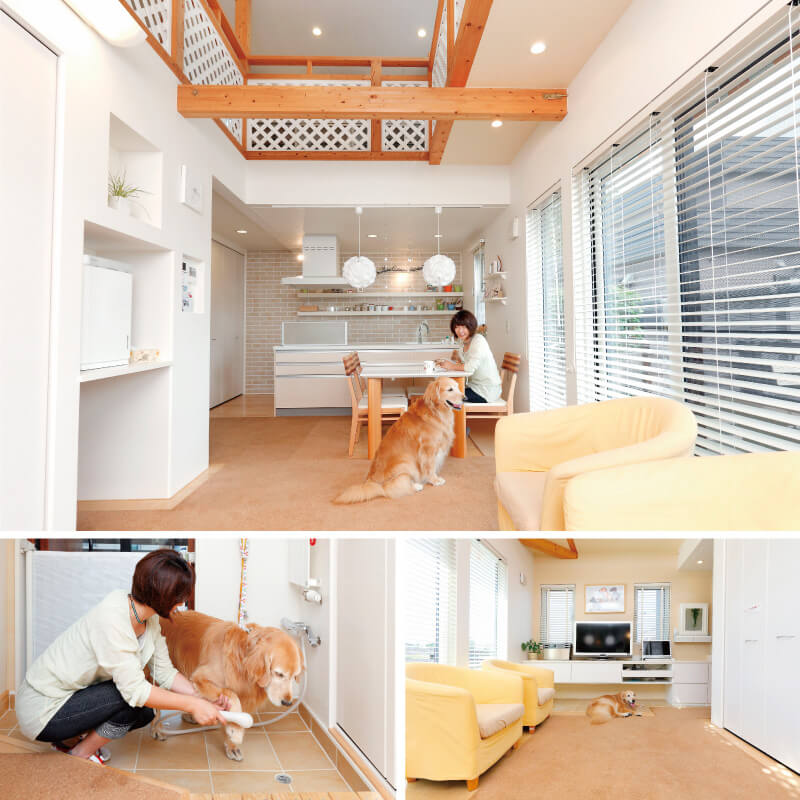 愛犬家住宅 杉林建設